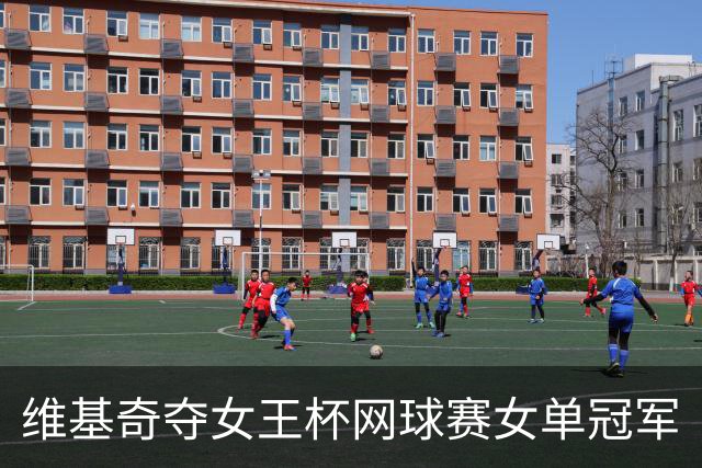 维基奇夺女王杯网球赛女单冠军
